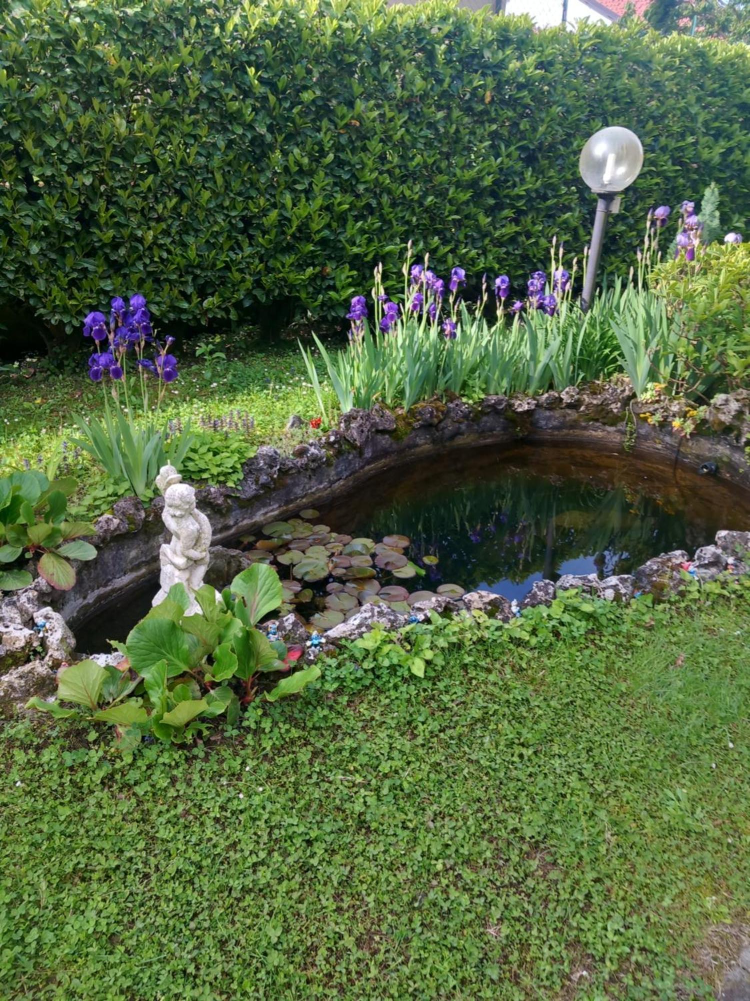 Il Laghetto Bed & Breakfast Torre Canavese Екстериор снимка